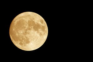 Spooky Halloween Cruises Sights